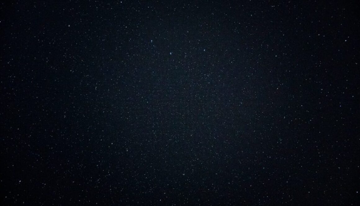 Photo Działanie czarnuszki na zdrowie układu oddechowego i odporność