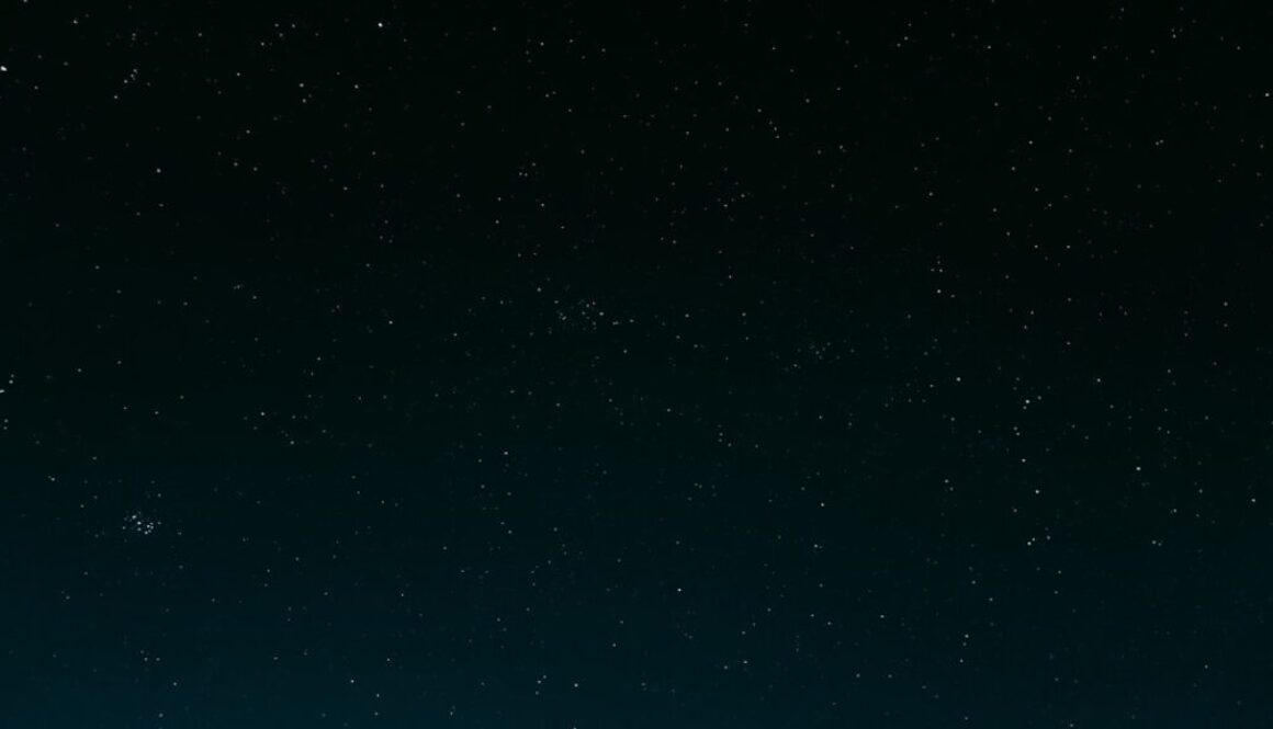 Photo Działanie czarnego bzu na odporność i walkę z przeziębieniami