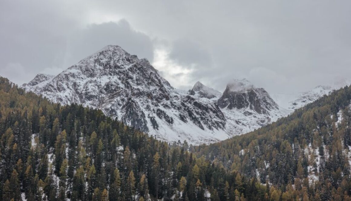 Photo Skuteczność lipy w łagodzeniu objawów przeziębienia i kaszlu